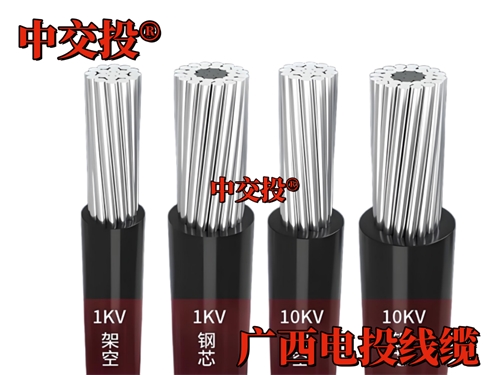 廣西農(nóng)村電網(wǎng)改造升級(jí)工程