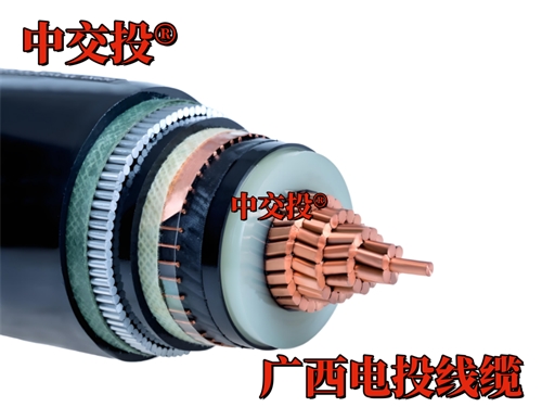 廣西光伏電站送出線(xiàn)路工程
